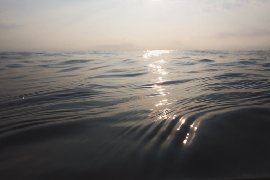 Human Ascension: Will it ever&nbsp;Happen?